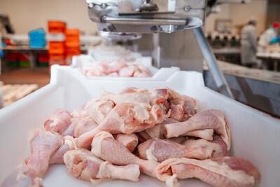  کاهش قیمت مرغ در بازار