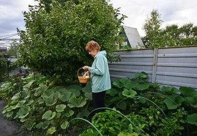 آدم عاقل نگاه قبلیه ای ندارد؛ یعنی کسانی که با او تفاوت دارند را می بیند