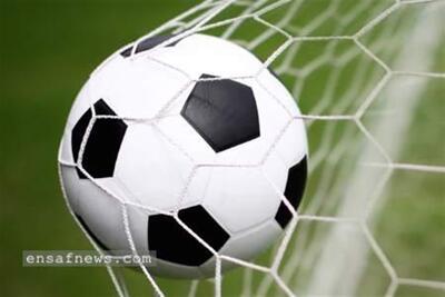 چرا گُل ایرانی، ویدیوچک را چکْ واک می‌کند؟