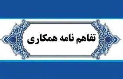  بنیاد برکت مشتری «پلتفرم پالیز» شد/ گام جدید بانک کشاورزی برای تأمین مالی زنجیره تولید