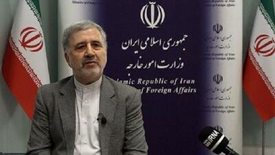 عنایتی: روابط مستحکمی با عربستان داریم؛ ثبات منطقه به نفع همه کشورهاست