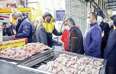 سقوط قیمت مرغ دولتی امروز سه شنبه ۱۴ بهمن ۱۴۰۴ / مرغ تنظیم بازاری را از کجا بخریم؟