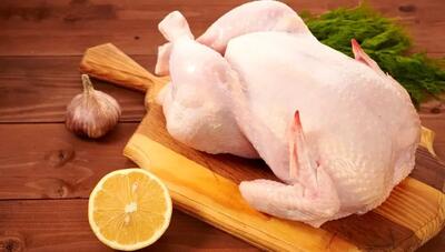 مدیرعامل اتحادیه مرغداران گوشتی: مرغ ارزان شد - ایران ویو 24