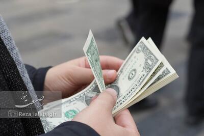 آخرین قیمت‌ دلار و یورو+ نمودار روزانه قیمت تتر