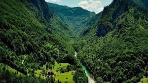 چرا جنگل‌های شمال ایران در معرض نابودی‌اند؟