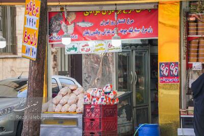 سقوط قیمت مرغ در بازار؛ نرخ جدید به زیر ۲۰۰ هزار تومان رسید