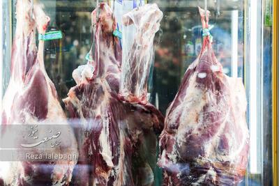 افزایش واردات گوشت قرمز طی روزهای آینده