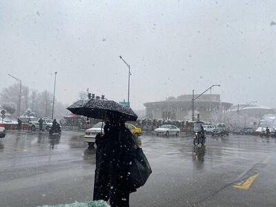 بارش برف و باران در تهران