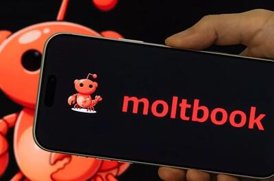  رسوایی شبکه اجتماعی Moltbook؛ آدرس ایمیل و کلید API هزاران کاربر لو رفت