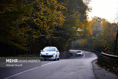 جاده چالوس یک طرفه شد