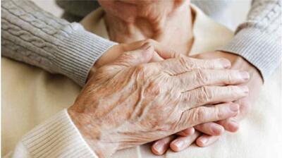 میگنا - ابعاد و تعریف شهر دوستدار سالمند