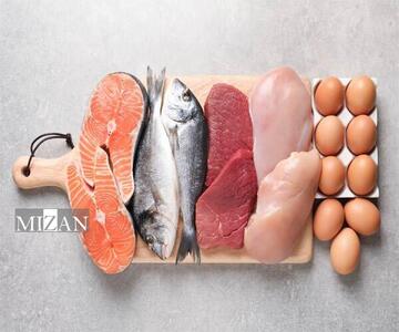  کاهش قیمت مرغ، تخم‌مرغ و گوشت قرمز؛ بازار پروتئین در مسیر تعدیل و ثبات