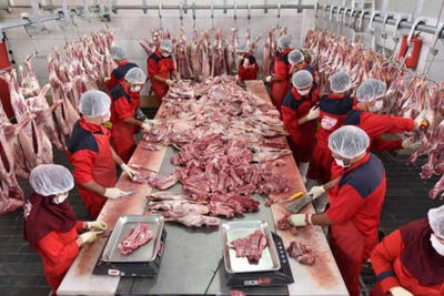 تهاتر گاز با گوشت پاکستان در دستور کار