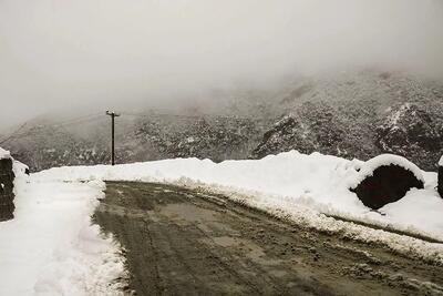امشب بارش برف و باران در این مناطق کشور قطعی است +هواشناسی فردا ۱۵ بهمن