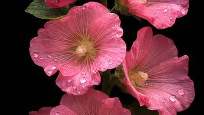 فال ابجد واقعی 14 بهمن