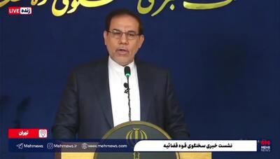 آخرین وضعیت پرونده الهه حسین‌نژاد به روایت سخنگوی قوه قضائیه + ویدئو