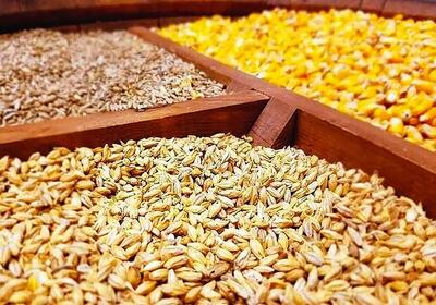  تحویل مدت‌دار نهاده دامی به مرغداران تصویب شد