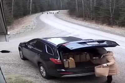  معماری طبیعت؛ منم جای خانومه بودم بعد دیدن این صحنه تو صندوق قایم میشدم