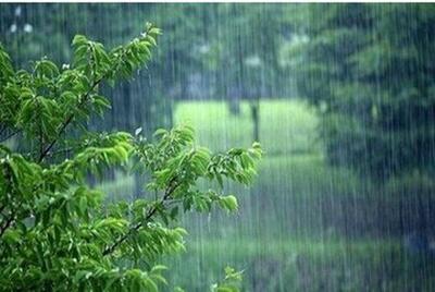 بارش برف و باران در بیشتر مناطق کشور