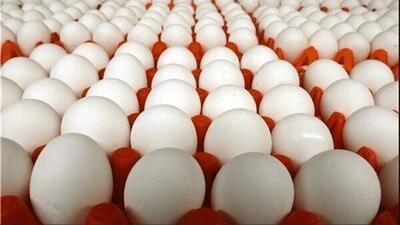 تخم‌مرغ پشت وانتی چند