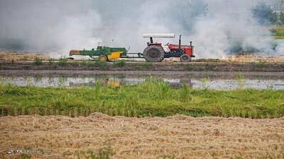 تامین ۴۰ درصد گوشت قرمز کشور از واحد‌های کوچک روستایی/ توسعه زیرساخت‌های اقتصادی روستاها، اولویت اصلی وزارت جهاد