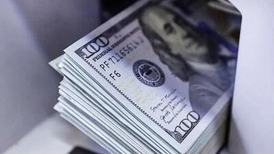 مدیریت واردات کالا‌های اساسی در پیچ تصمیمات ارزی