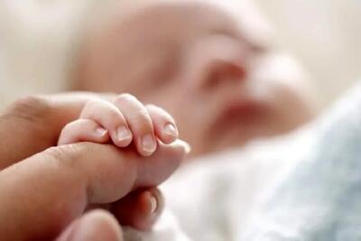 مرحله چهارم شارژ طرح رفع سوءتغذیه آغاز شد