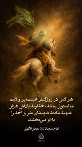 طرح/ پایداری بر ولایت