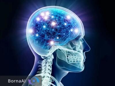  دانشمندان راز بازگشت جوانی را کشف کردند