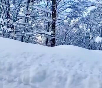 ویدئویی تماشایی از بارش برف در یکی از زیباترین جاده‌های ایران