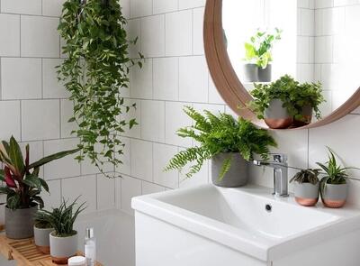 ۶ ترفند ساده که توالت خانه را برای همیشه خوشبو می‌کند - چیدانه