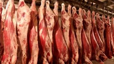 جدیدترین قیمت یک دست کله و پاچه در بازار / جگر چند ؟!