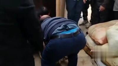 ببینید| حضور پلنگ در حیاط خانه‌ یک روستایی در ماسال