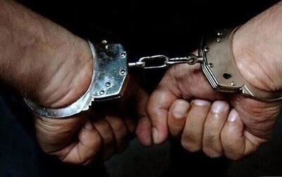 نقشه های شیطانی رمان نویس قلابی برای فریب دختر ثروتمند