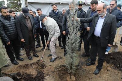 آغاز کاشت ۲۵ هزار درخت در غرب پایتخت