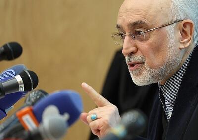 خوش بینی علی‌اکبر صالحی به مذاکرات |  اختیارات دولت و رئیس‌جمهور افزایش یابد