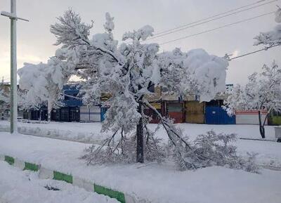  بارش برف سنگین‌ راه ارتباطی ۳۵۰ روستای الیگودرز را قطع کرده است