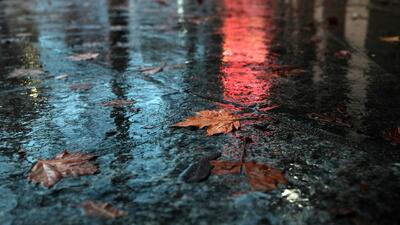 وضعیت هوای فردا تهران پنجشنبه ۱۶ بهمن ۱۴۰۴ | پیش بینی آب و هوای تهران در ۲۴ ساعت آینده + هواشناسی تهران