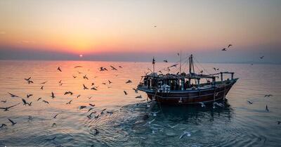 انتقال آب دریا به فلات ایران؛ چرخه بی‌پایان تصمیم‌های اشتباه