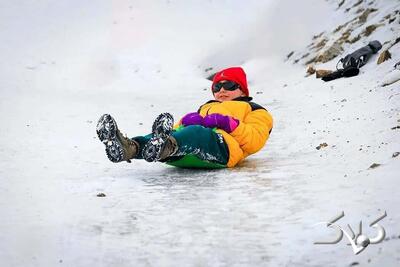  شدت بارش برف در پردیس تهران را ببینید + ویدئو - مجله اینترنتی کولاک