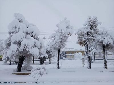 بیشترین بارندگی‌های لرستان در «شول‌آباد» ثبت شد؛ بارش ۲۰ سانتی‌متر برف
