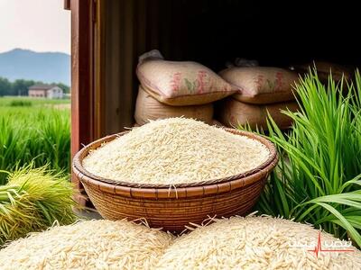 بازار برنج در انتظار ورود دوباره برنج پاکستانی — آیا عرضه جدید قیمت‌ها را پایین می‌آورد؟