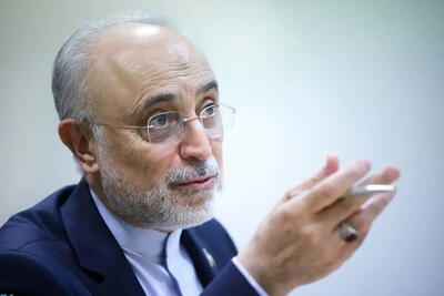 علی‌اکبر صالحی: تصمیم‌گیری‌ها سریع و صائب باشد