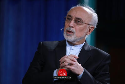 علی اکبر صالحی : نگران موضع‌گیری‌های نابهنگام برخی در داخل هستم