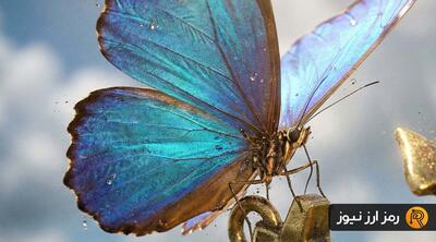 پرواز ۱۵ درصدی این آلت کوین؛ نهنگ‌ها قصد فروش ندارند؟