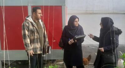  نظارت علمی بر سلامت محصولات گلخانه‌ای استان مرکزی؛ گامی کلیدی در تأمین غذای سالم و ایمن