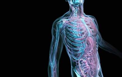 دلایل مهم سیستم ایمنی ضعیف بدن را بشناسید