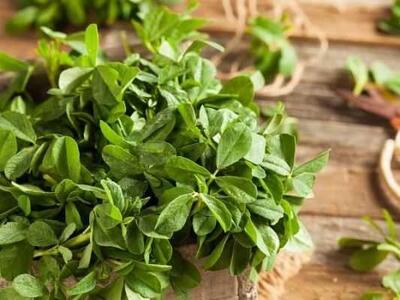  جوان نگه داشتن مغز چگونه ممکن است؟ / ۴ روش کلیدی برای جوان نگه داشتن مغز / پیشگیری علمی از افت حافظه | اندیشه قرن