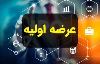  همه چیز درباره عرضه اولیه تادیکو + معرفی نماد تادیکو | اندیشه قرن