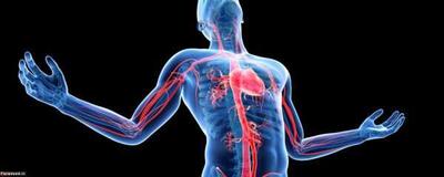 بدن قبل از بیماری هشدار می‌دهد / این ۵ نشانه علامت خطر است / جدی بگیرید